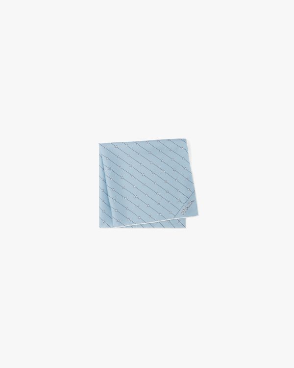 Sky Blue/white Printed twill scarf